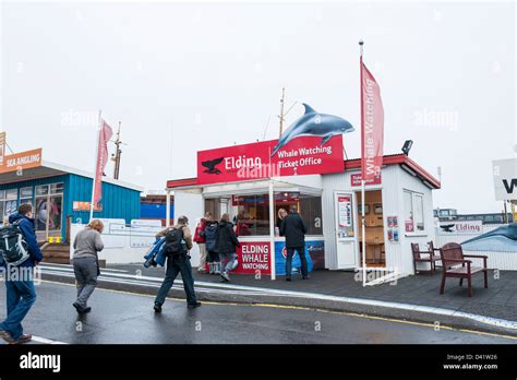 The Elding whale watching ticket office at the harbour Reykjavik ...