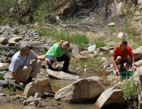 Arizona Gold Prospecting Panning Locations Arizona Gold Prospecting