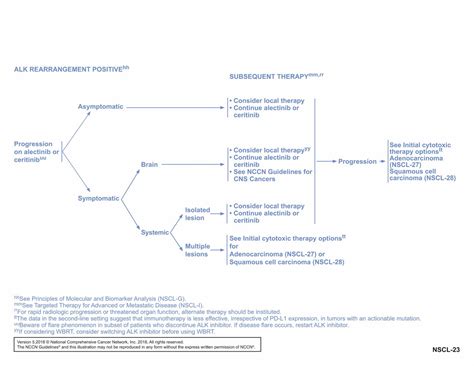 Nccn Guidelines Insights Nonsmall Cell Lung Cancer Version 52018 In