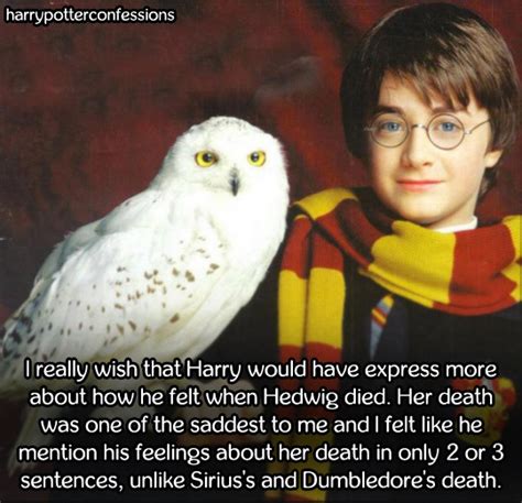 harry potter confessions.