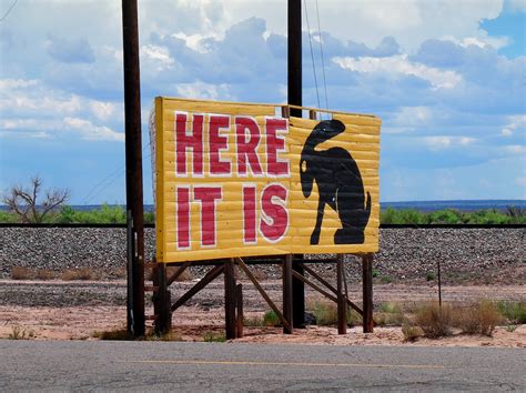 Route 66, The Mother Road: A Giant Jack Rabbit and Trees Turned To Stone