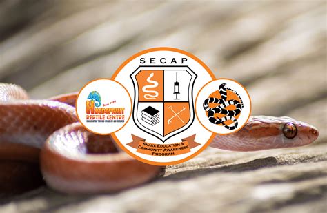 Snake Identification - Save The Snakes