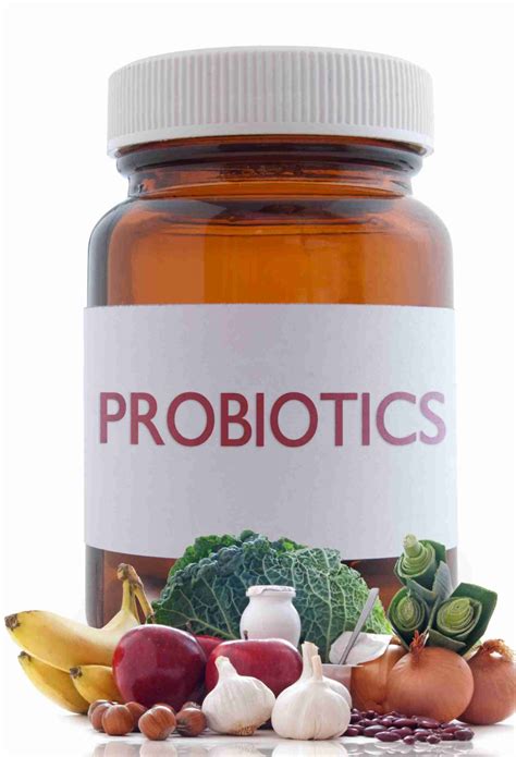 integrate  probiotic   wellness routine