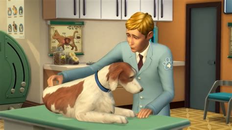 Sims 4 Veterinarian: How to Start the Vet Career in Cats & Dogs - GameRevolution