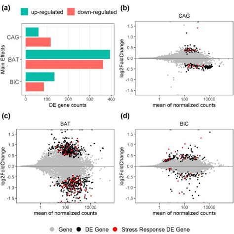 Top Ten Representative Pathways Of The De Novo Transcriptome Assembly