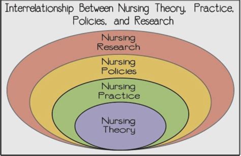 Nursing Theory Transitions To Professional Nursing Practice