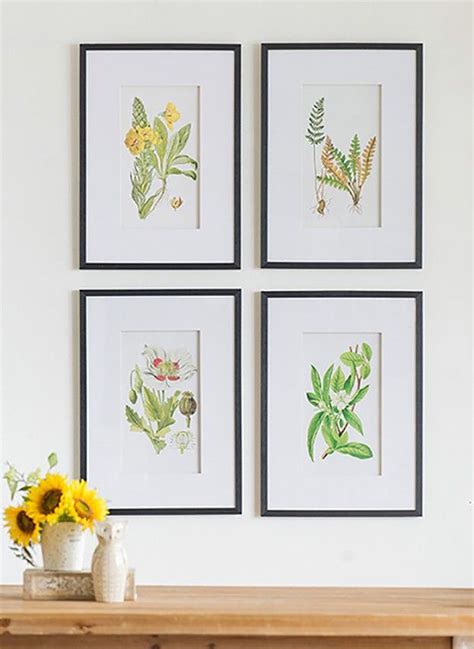 Framed Botanical Art Prints Set of 4 | | Botanical art prints, Framed ...