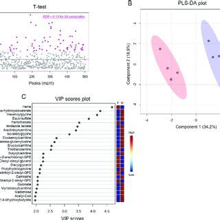 Biological Sex Influences Baseline Cardiac Metabolite Abundances