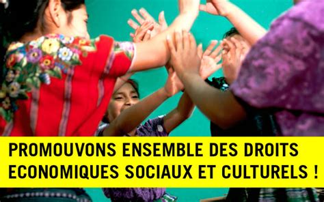 Comprendre Les Droits Conomiques Sociaux Et Culturels Desc