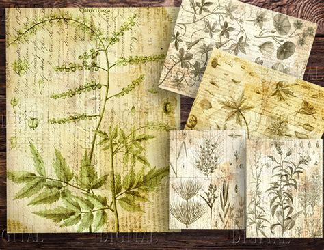 Botanical Junk Journal Printable 14 Vintage Scrapbooking Etsy