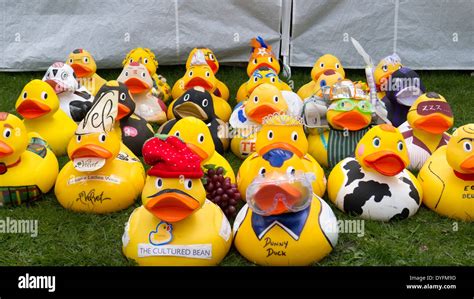 Decorated plastic ducks Stock Photo: 68572041 - Alamy