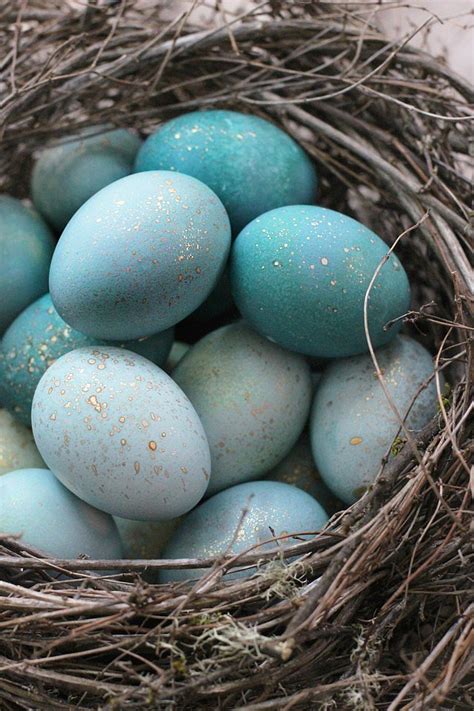 Robin Eggs 12 Creative Easter Egg Upgrades To Try This Year