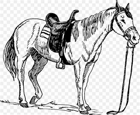 Horse Saddle Drawing Equestrian, PNG, 1280x1053px, Horse, Art, Bit, Black And White, Bridle ...