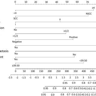 Nomogram Model For Predicting The 1 3 And 5 Year RFS Rates Of