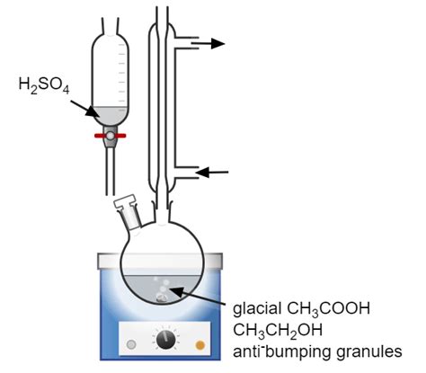 Esters Preparation And Purification Ace Chemistry