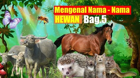 BELAJAR MENGENAL NAMA HEWAN A Z Bag 5 YouTube