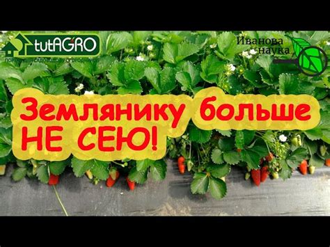 Садоводка