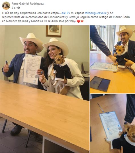 Facebook Viral Perrito Es Testigo En La Boda De Sus Dueños Pero Usuarios Critican Tierna