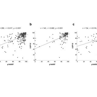 Correlation Analysis Between Usp And P Arf Expression In Patients