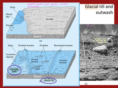 Parent Material Weathering And Soil Forming Processes Flashcards