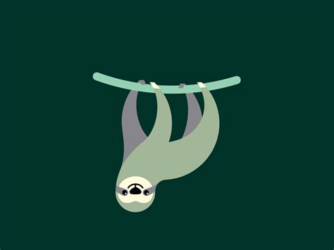 lazy sloth by Danila Khodashinskiy on Dribbble