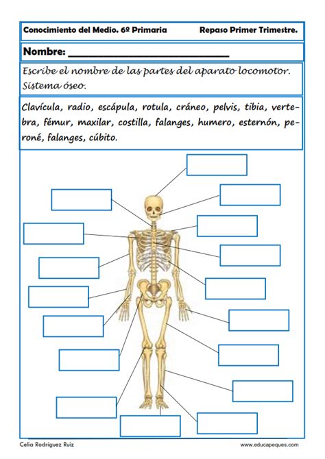 Pin En Fichas Naturales