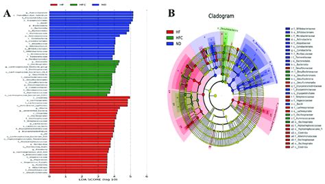 LEfSe Analysis Of Intestinal Flora A LDA Scores Calculated For