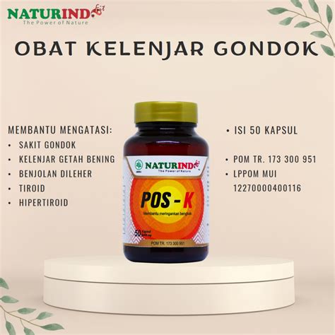 Jual Obat Gondok Kelenjar Getah Bening Kelenjar Tiroid Di Leher Amandel