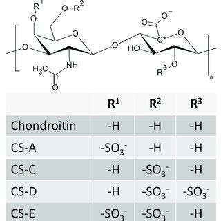 Bioengineered Microbes Used In The Synthesis Of Chondroitin And Its