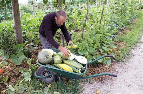 With Centuries Old Techniques This Farm Is Preparing For The Future