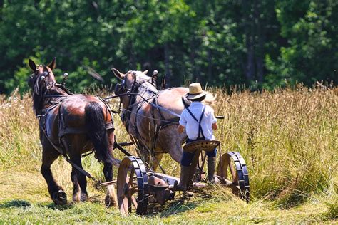 What language do Mennonites speak? - Christian Faith Guide