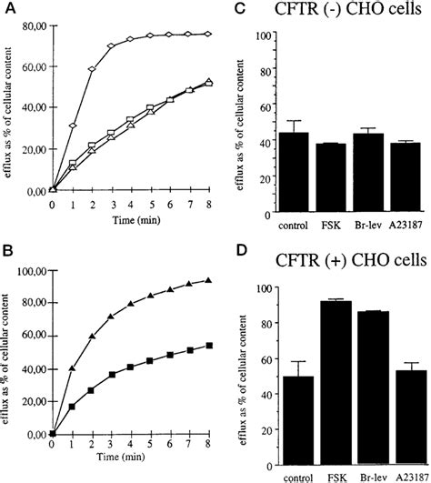 Comparison Of Bromotetramisole And Forskolin Stimulated Iodide