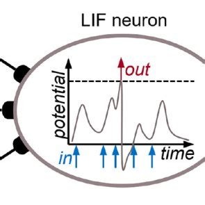 Schematic Illustration Of A Leaky Integrate Fire Lif Neuron