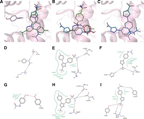 Docking And Contacts Of Cox 2 With Paracetamol 2 Celecoxib 1 And Download Scientific