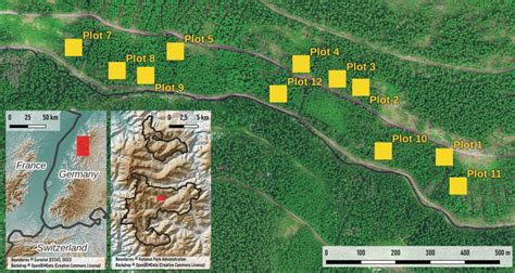 Location of the Black Forest National Park in South‐Western Germany and ...