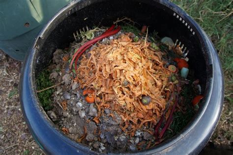 How To Eliminate Maggots in Compost Bins | Hunker