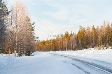 Finnish Snowy Forest Picture And HD Photos | Free Download On Lovepik