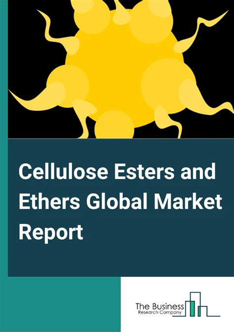 Cellulose Esters And Ethers Market Segments Growth Industry Outlook