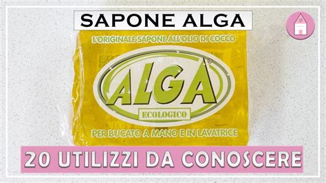 SAPONE ALGA 20 UTILIZZI PER LE PULIZIE DI CASA E NON SOLO PULIZIE