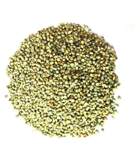 Bajra Seeds Pearl Millet Seeds For Bird Food Kg Buy Bajra Seeds