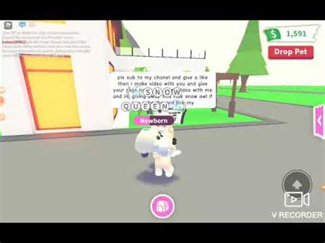 How To Hatch Legendary Everytime In Adopt Me Roblox Youtube