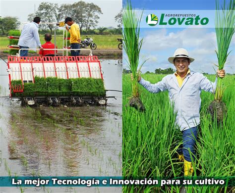 Lovato Maquinaria Y Repuestos Agroscopio Commaquinaria Agr Cola