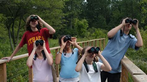 How To Choose The Right Binoculars For Birding