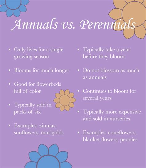 Using Annual Plants Vs Perennials