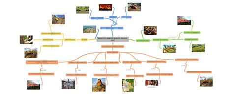 DesafÍos Ambientales En Bolivia 2022 Coggle Diagram