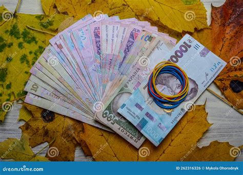 Autumn Leaves And Money As A Symbol Of Profit Stock Photo Image Of