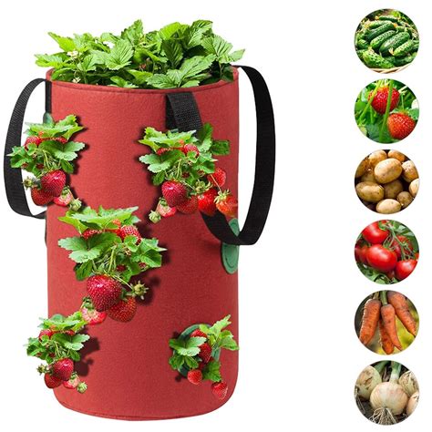 Jardinière Sac de plantation de jardin sac de culture de fraises 3L