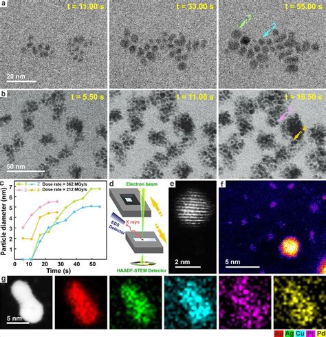 Lptem Visualization Of Hea Nanoparticle Formation Dynamics A B