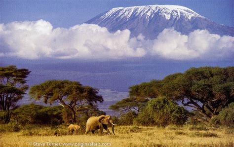 CLIMB MOUNT KILIMANJARO – “AFRICA'S MOUNTAIN OF GREATNESS" - Origins ...