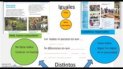 Comparar Dos Textos Informativos Youtube